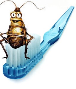 tandenborstel roach